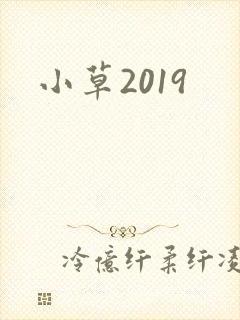 小草2019