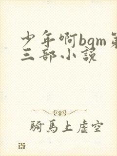 少年啊bgm第三部小说