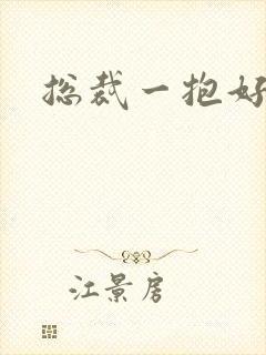 总裁一抱好欢喜封面