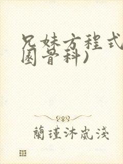 兄妹方程式(校园骨科)