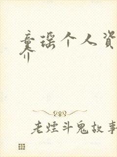 童瑶个人资料简介封面