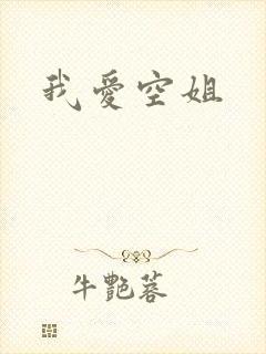 我爱空姐封面