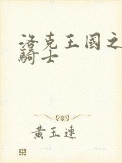 洛克王国之圣龙骑士