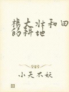 杨大壮和田桂花的耕地