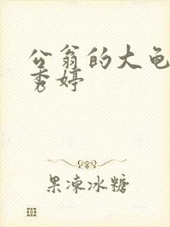 公翁的大龟挺进秀婷封面