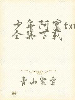 少年阿宾txt全集下载