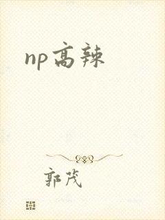 np高辣