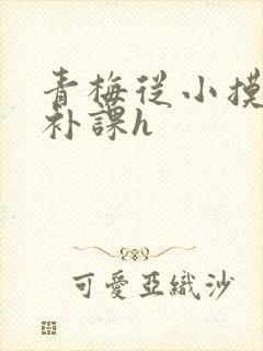 青梅从小摸到大补课h