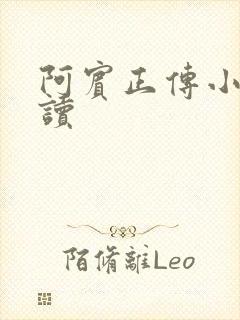 阿宾正传小说在读