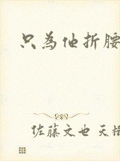 只为他折腰封面