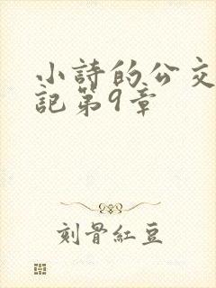 小诗的公交车日记第9章