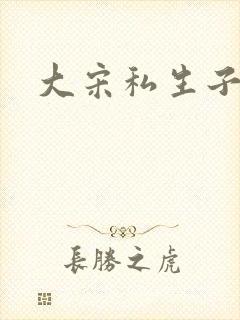 大宋私生子