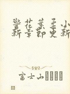 警花叶柔小说最新章节更新