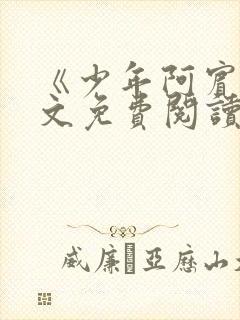 《少年阿宾》全文免费阅读