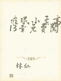 催眠小柔高达第13章免费阅读