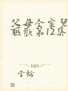 父母全家儿女大联欢第12集封面