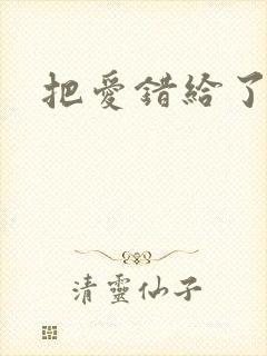 把爱错给了你