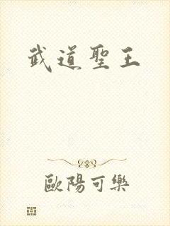 武道圣王