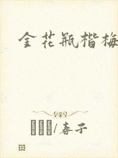 金花瓶楷梅花封面