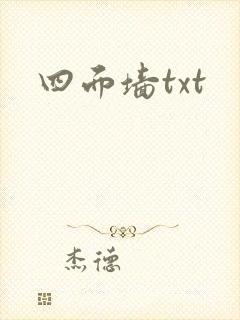 四面墙txt