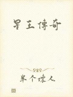 星王传奇