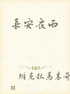 长安夜雨