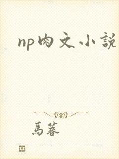 np肉文小说
