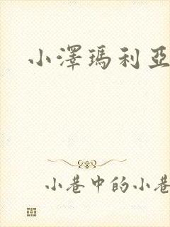 小泽玛利亚作品封面