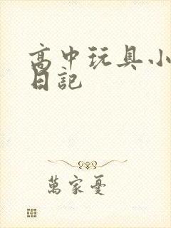 高中玩具小诗的日记封面