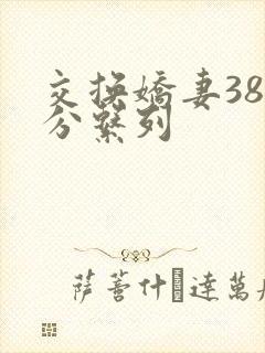 交换娇妻38部分系列封面