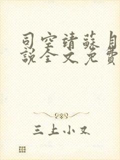 司空靖苏月汐小说全文免费阅读封面