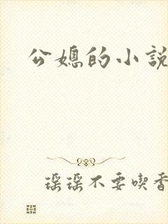 公媳的小说