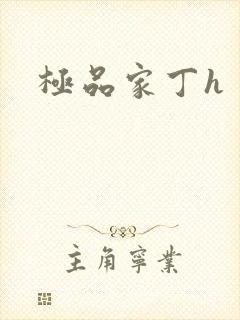 极品家丁h封面