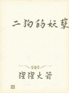 二狗的妖孽人生