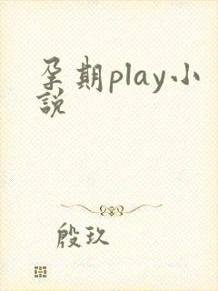 孕期play小说