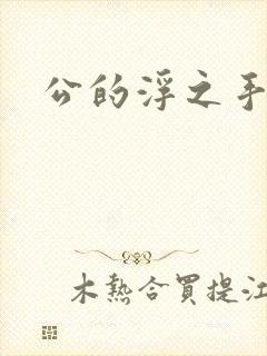 公的浮之手中字封面