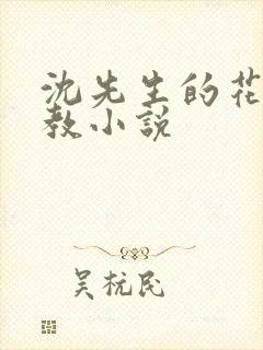 沈先生的花式调教小说