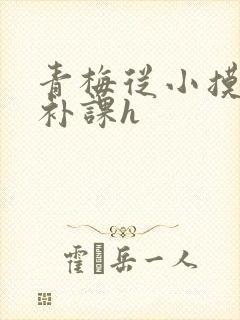 青梅从小摸到大补课h