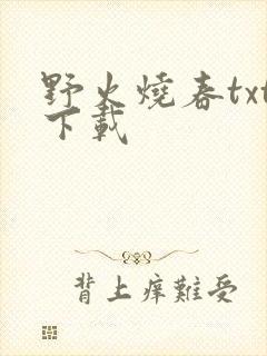 野火烧春txt下载