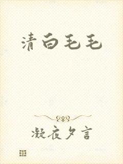 清白毛毛