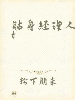 贴身经理人txt封面