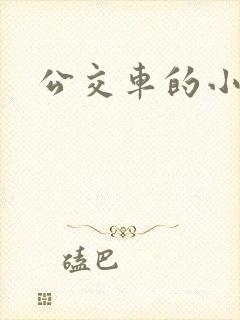 公交车的小说
