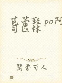 芭蕾鞋 po阿司匹林