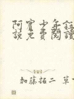 阿宾少年钰慧小说免费阅读笔趣阁封面