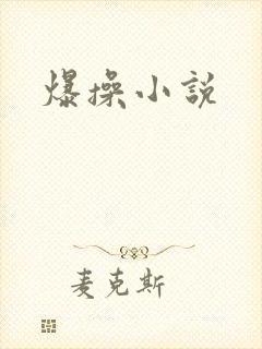 爆操小说封面
