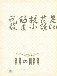 我的校花是福姬苏柔小说txt