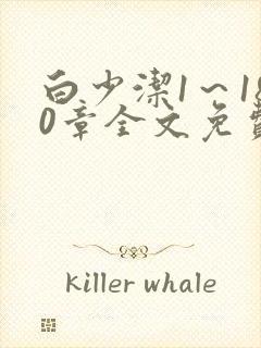 白少洁1～180章全文免费封面