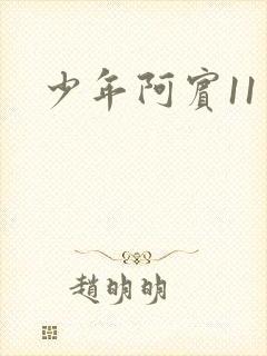 少年阿宾11封面