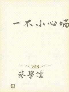 一不小心喵上你