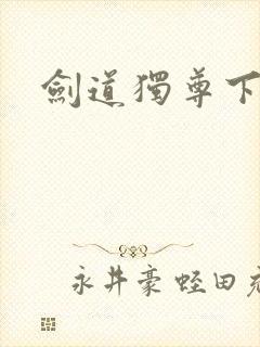 剑道独尊下载
